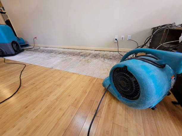 Professional Emergency Water Damage technician working in Afton, MN